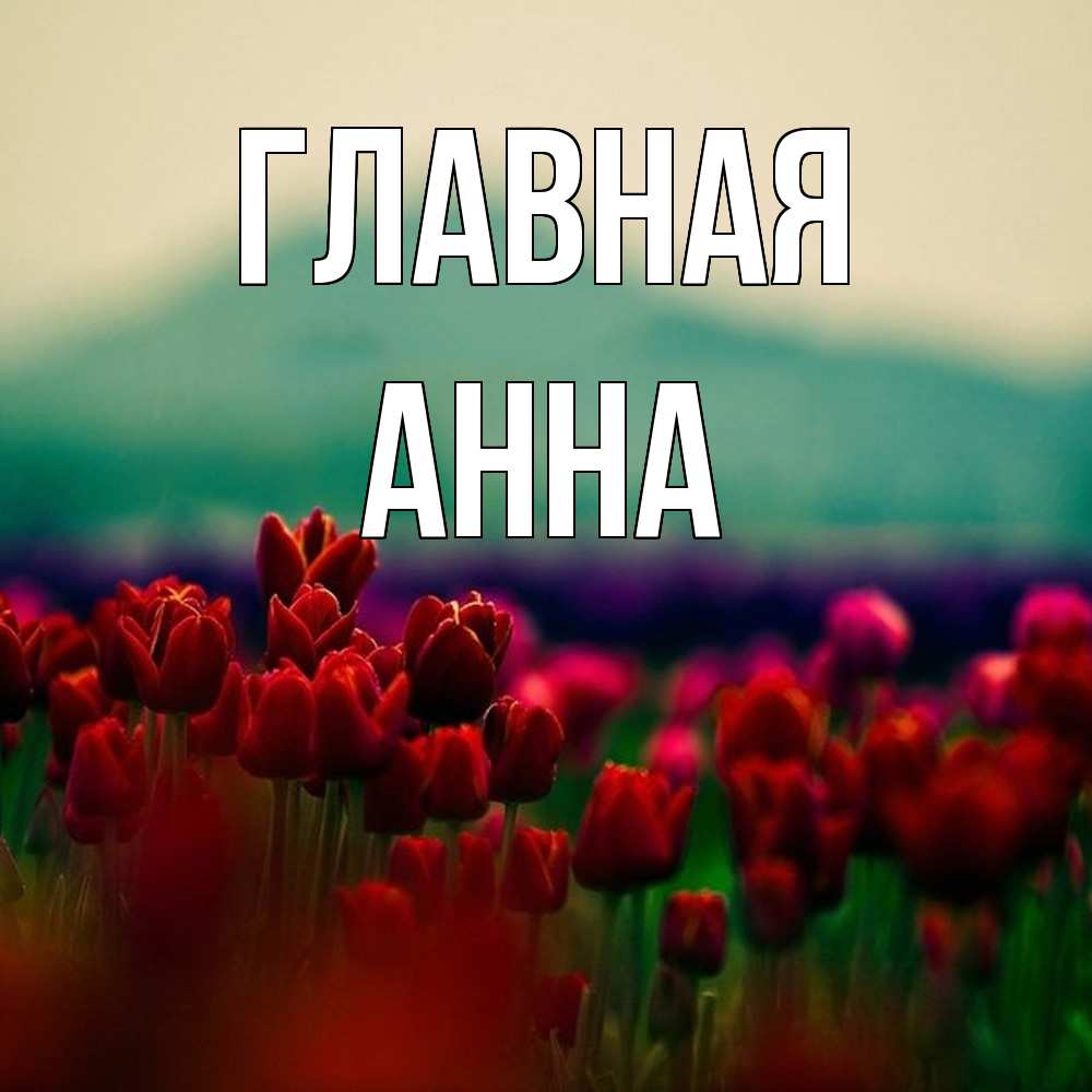 Открытка на каждый день с именем, Анна Главная тюльпаны 4 Прикольная открытка с пожеланием онлайн скачать бесплатно 