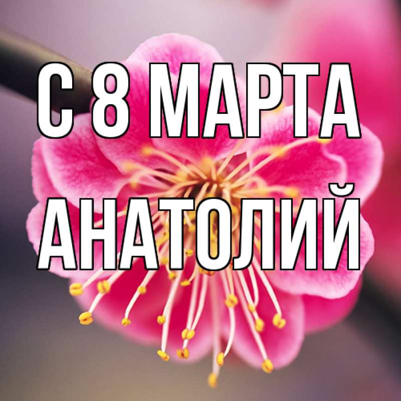 Картинка C 8 МАРТА, Анатолий