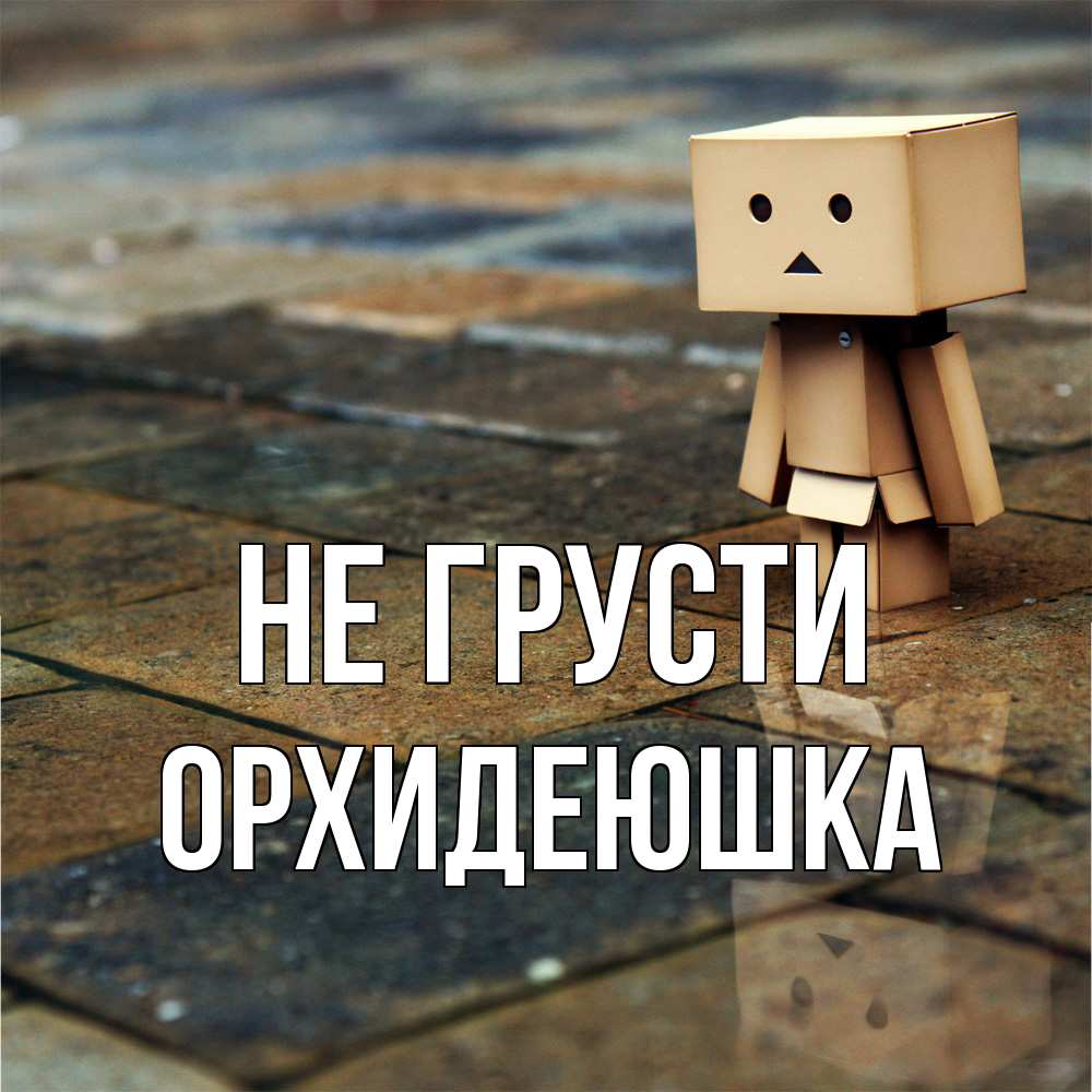 Открытка на каждый день с именем, Орхидеюшка Не грусти Стив Прикольная открытка с пожеланием онлайн скачать бесплатно 