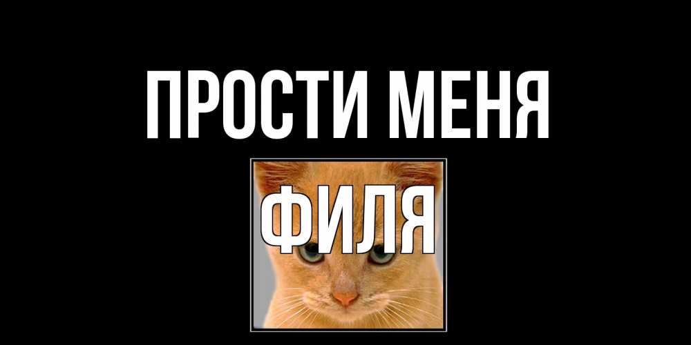 Открытка на каждый день с именем, Филя Прости меня рыжий грустный кот просит прощения Прикольная открытка с пожеланием онлайн скачать бесплатно 