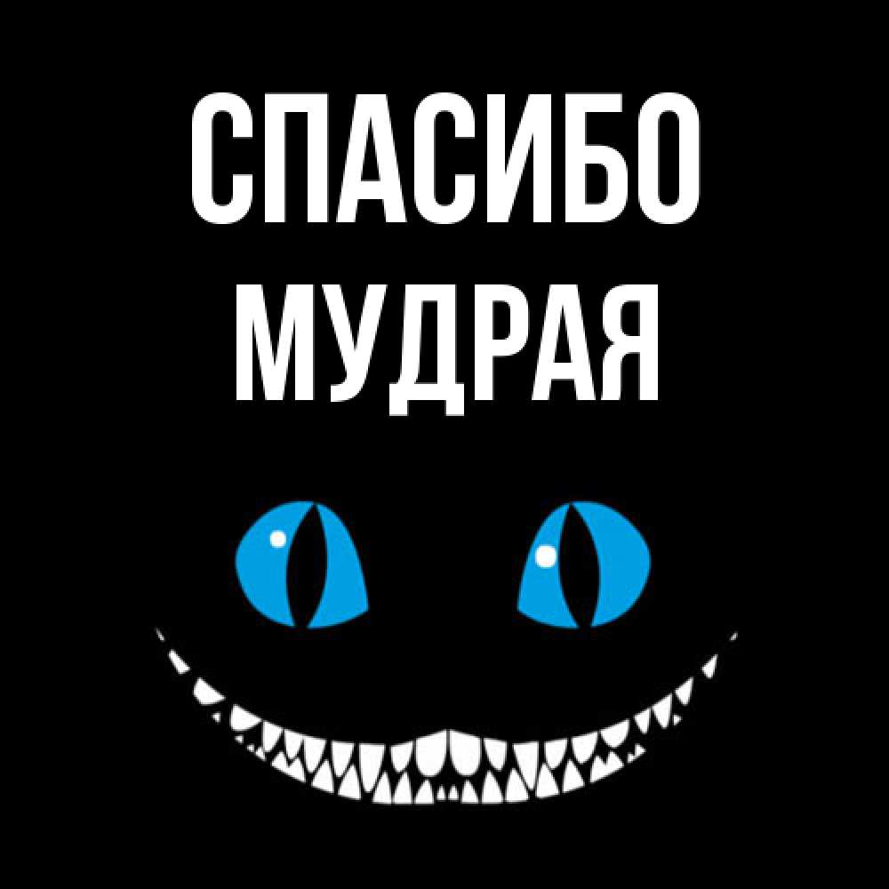 Открытка на каждый день с именем, мудрая Спасибо благодарю от чеширика Прикольная открытка с пожеланием онлайн скачать бесплатно 