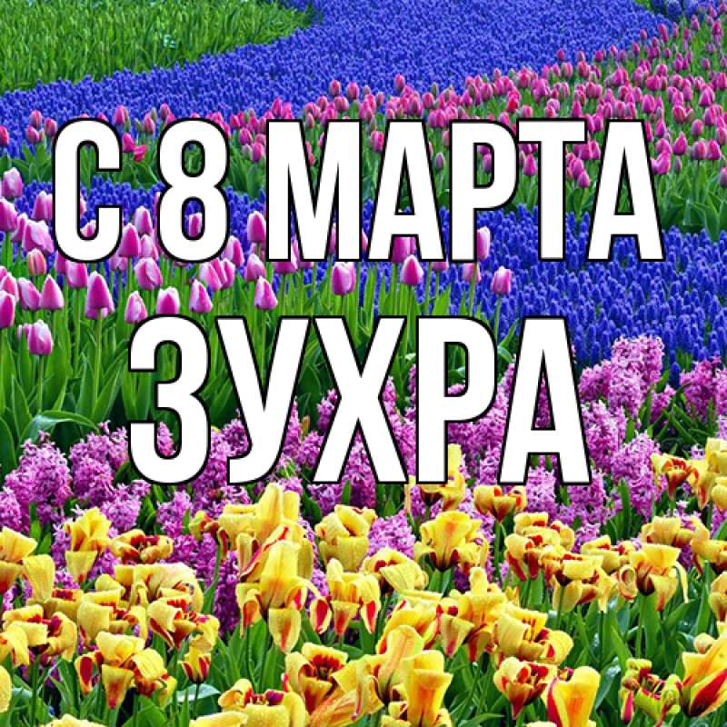 Картинка C 8 МАРТА, Зухра