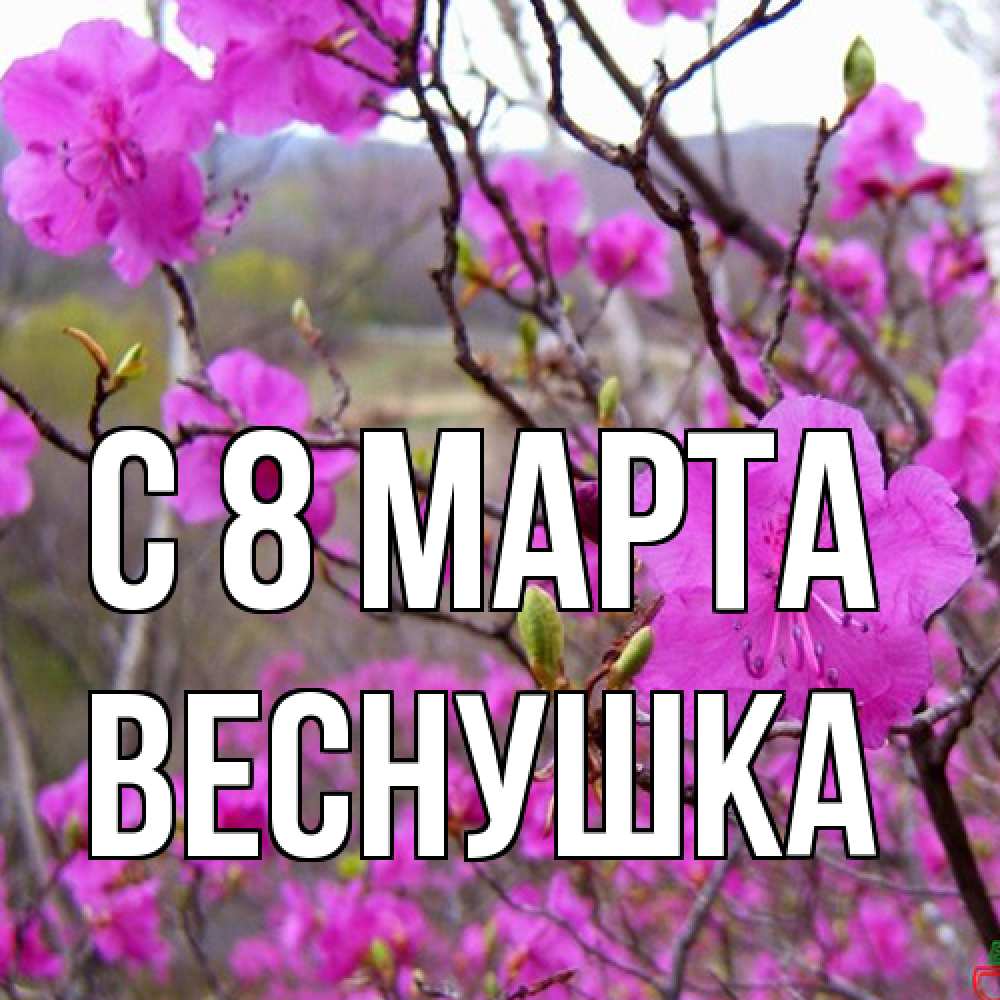 Открытка на каждый день с именем, веснушка C 8 МАРТА международный женский день Прикольная открытка с пожеланием онлайн скачать бесплатно 