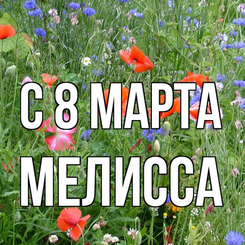 Картинка C 8 МАРТА, Мелисса