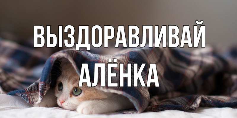 Картинка Выздоравливай, Алёнка