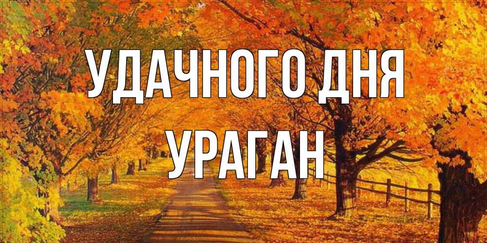 Открытка на каждый день с именем, Ураган Удачного дня деревья с осенними листьями Прикольная открытка с пожеланием онлайн скачать бесплатно 