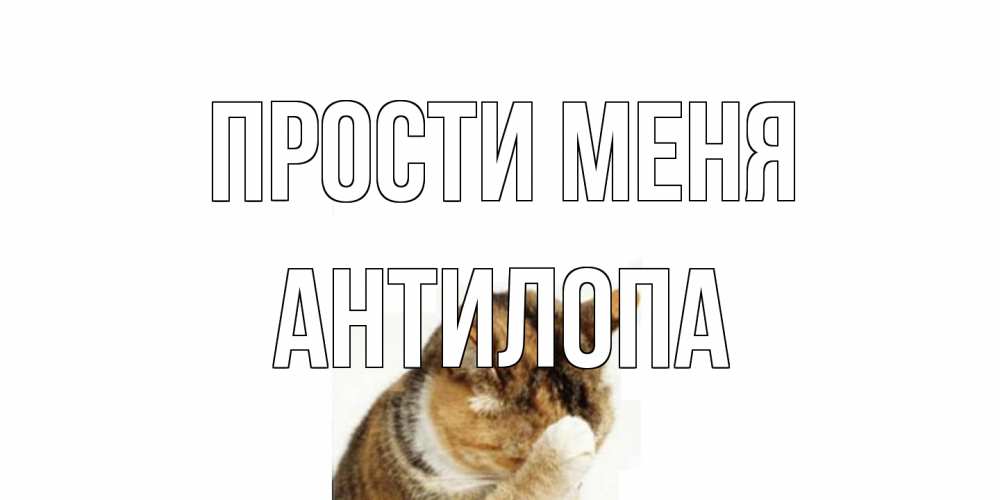 Открытка на каждый день с именем, антилопа Прости меня кот Прикольная открытка с пожеланием онлайн скачать бесплатно 