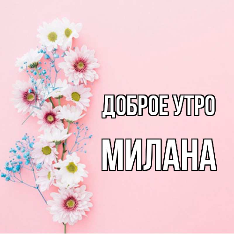 Картинка Доброе утро, Милана