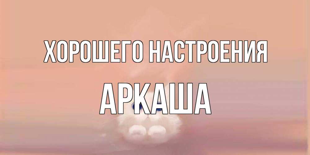 Открытка на каждый день с именем, Аркаша Хорошего настроения кошка Прикольная открытка с пожеланием онлайн скачать бесплатно 