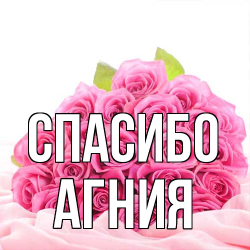 Картинка Спасибо, Агния