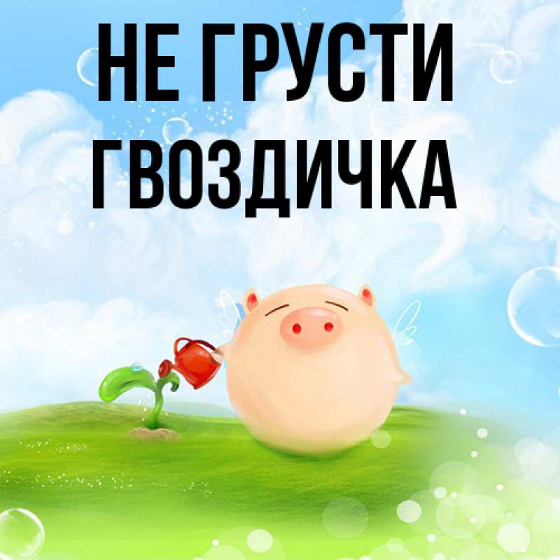 Картинка Не грусти, Гвоздичка