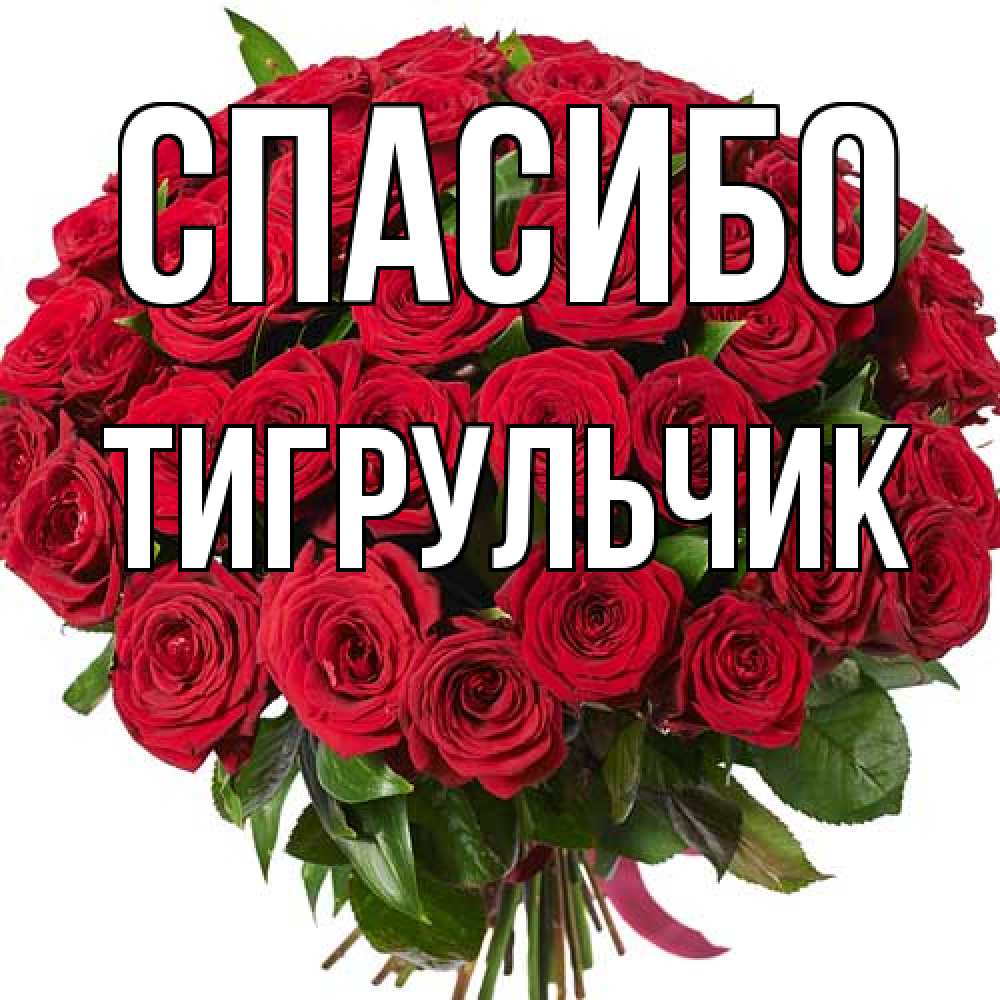 Открытка на каждый день с именем, Тигpульчик Спасибо букет красных роз Прикольная открытка с пожеланием онлайн скачать бесплатно 