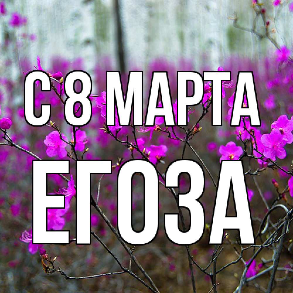 Открытка на каждый день с именем, егоза C 8 МАРТА дикие цветы Прикольная открытка с пожеланием онлайн скачать бесплатно 