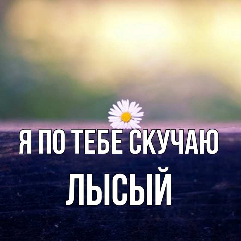 Картинка Я по тебе скучаю, Лысый