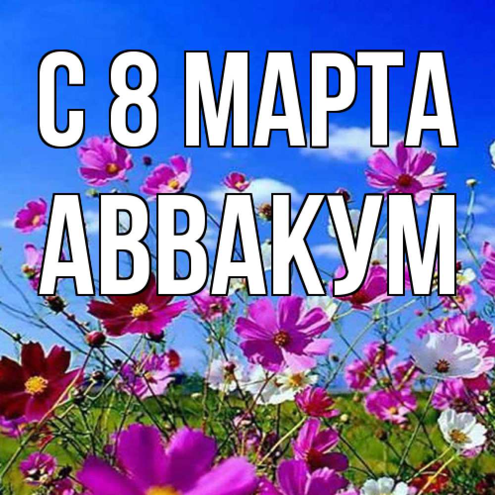 Открытка на каждый день с именем, Аввакум C 8 МАРТА цветы Прикольная открытка с пожеланием онлайн скачать бесплатно 