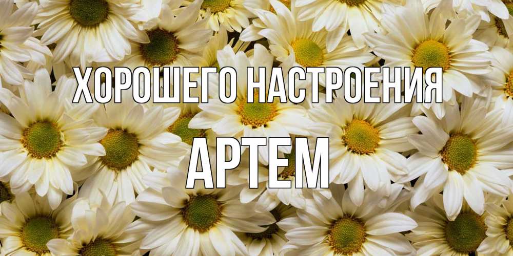 Открытка на каждый день с именем, Артем Хорошего настроения крупные ромашки Прикольная открытка с пожеланием онлайн скачать бесплатно 
