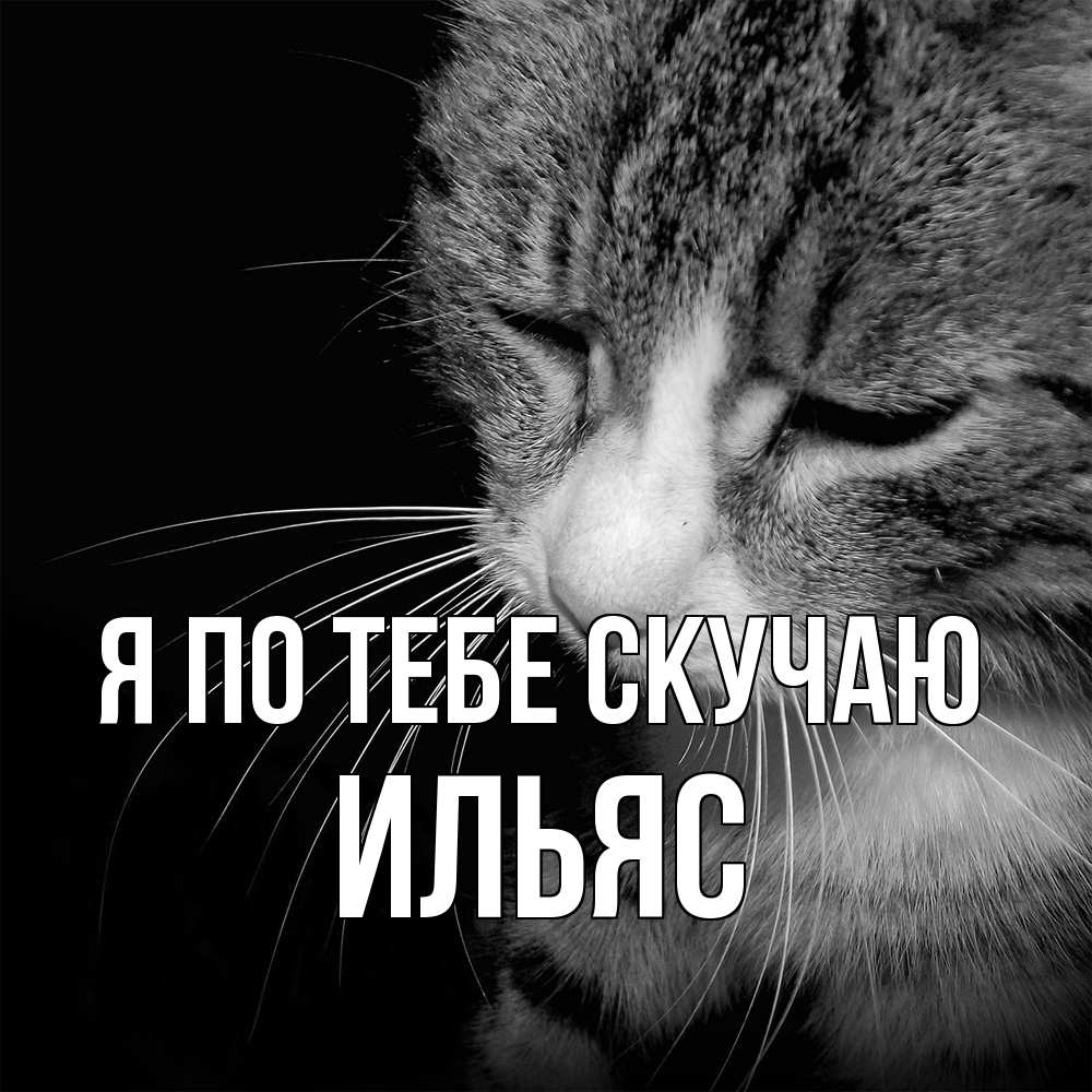 Открытка на каждый день с именем, Ильяс Я по тебе скучаю мне скучно Прикольная открытка с пожеланием онлайн скачать бесплатно 