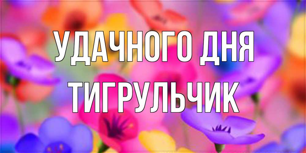 Открытка на каждый день с именем, Тигpульчик Удачного дня открытка повышающая настроение Прикольная открытка с пожеланием онлайн скачать бесплатно 