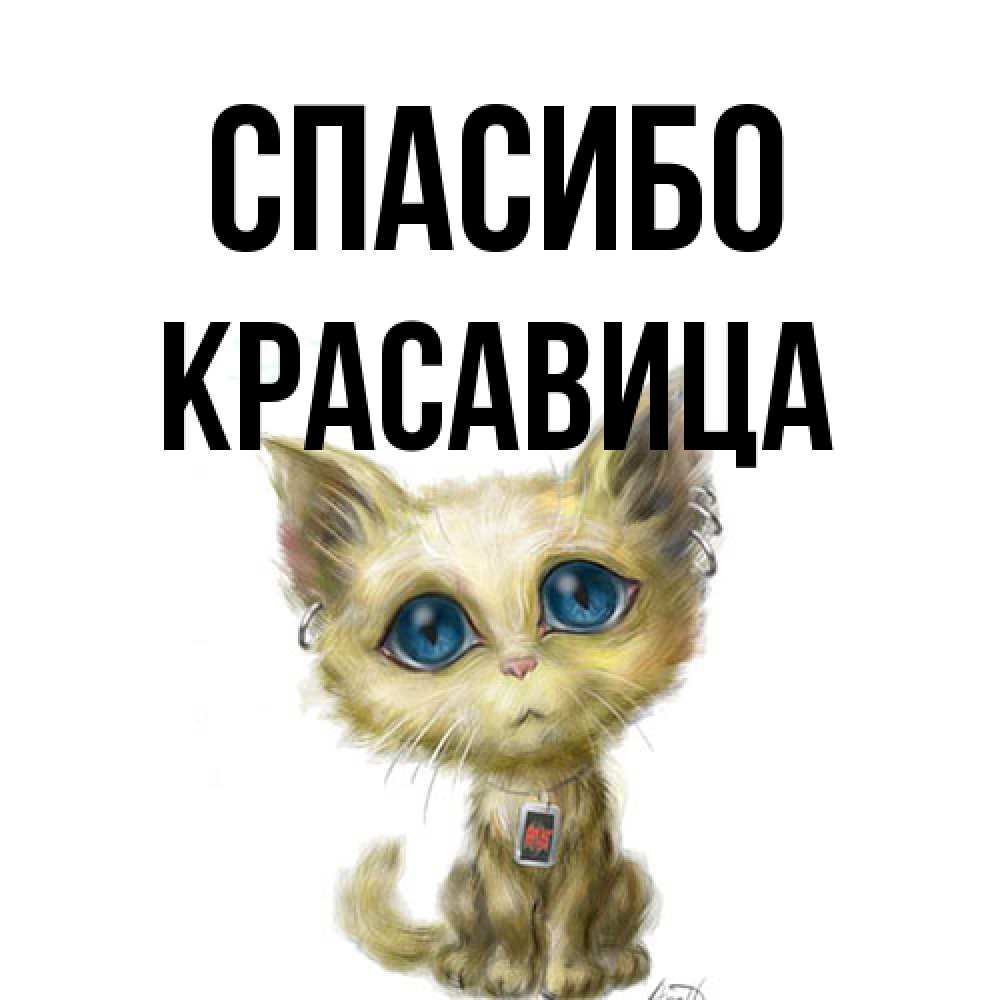 Открытка на каждый день с именем, Красавица Спасибо рисованный кот благодарит вас Прикольная открытка с пожеланием онлайн скачать бесплатно 