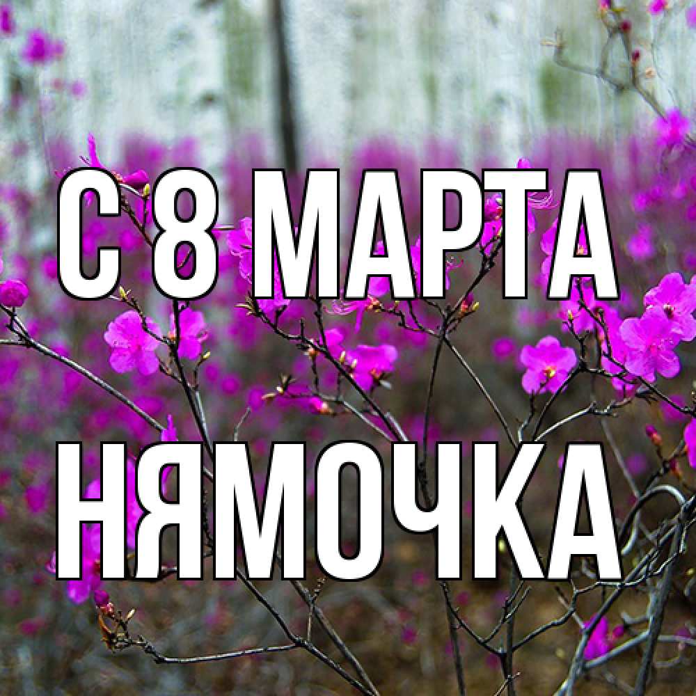 Открытка на каждый день с именем, нямочка C 8 МАРТА дикие цветы Прикольная открытка с пожеланием онлайн скачать бесплатно 