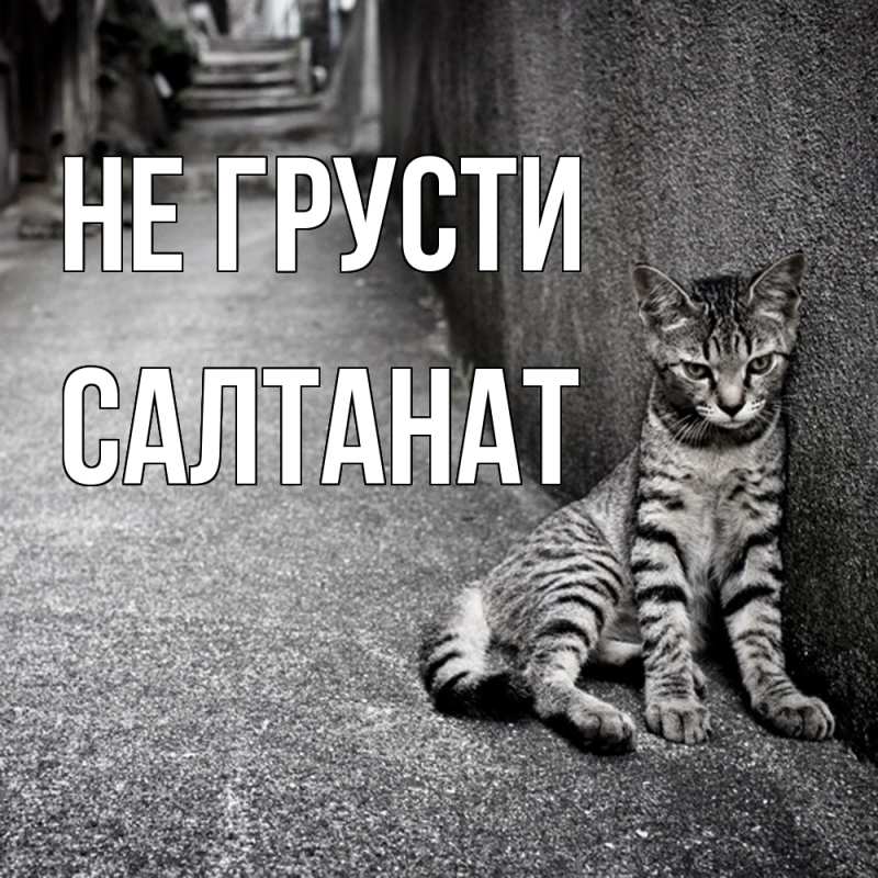 Картинка Не грусти, Салтанат