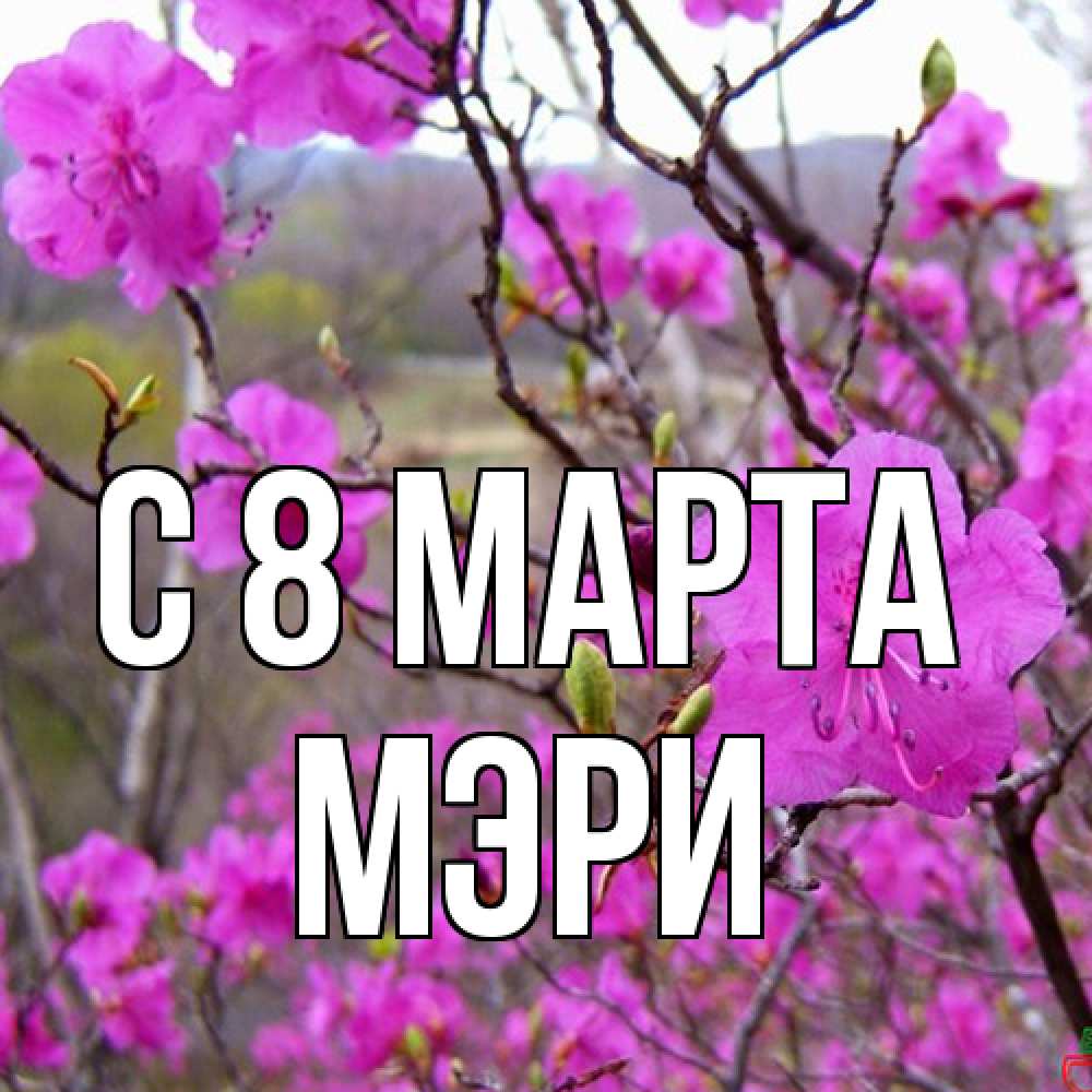 Открытка на каждый день с именем, Мэри C 8 МАРТА международный женский день Прикольная открытка с пожеланием онлайн скачать бесплатно 