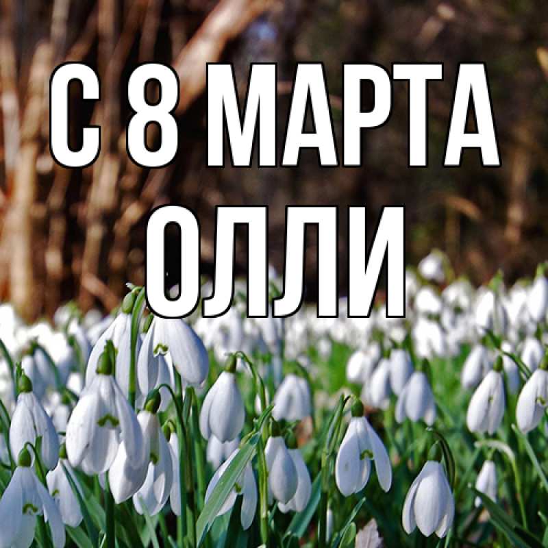Картинка C 8 МАРТА, Олли