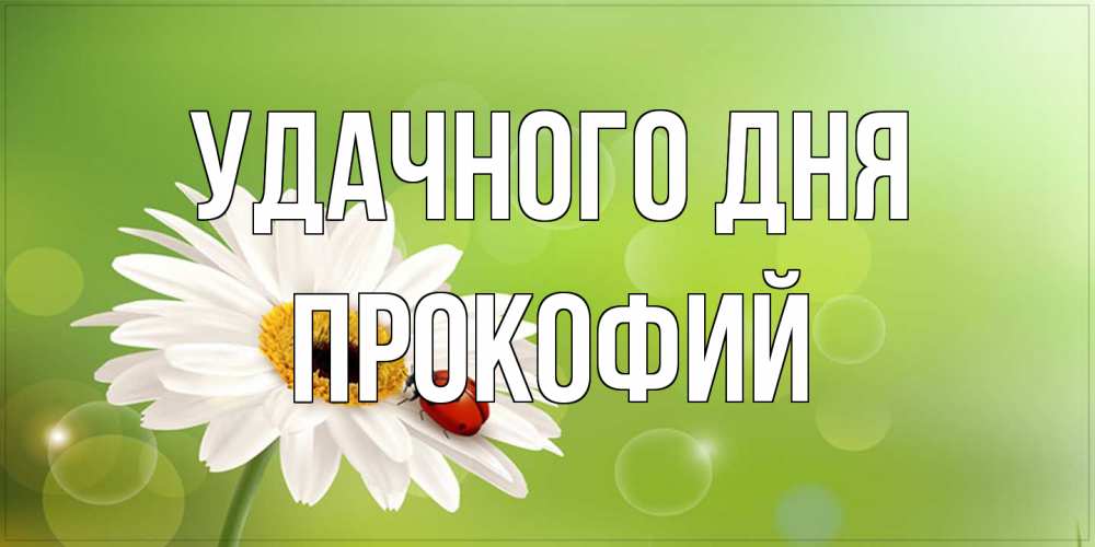 Открытка на каждый день с именем, Прокофий Удачного дня зеленый фон и ромашка Прикольная открытка с пожеланием онлайн скачать бесплатно 