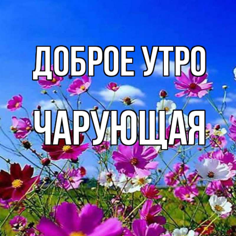 Картинка Доброе утро, Чаpующая
