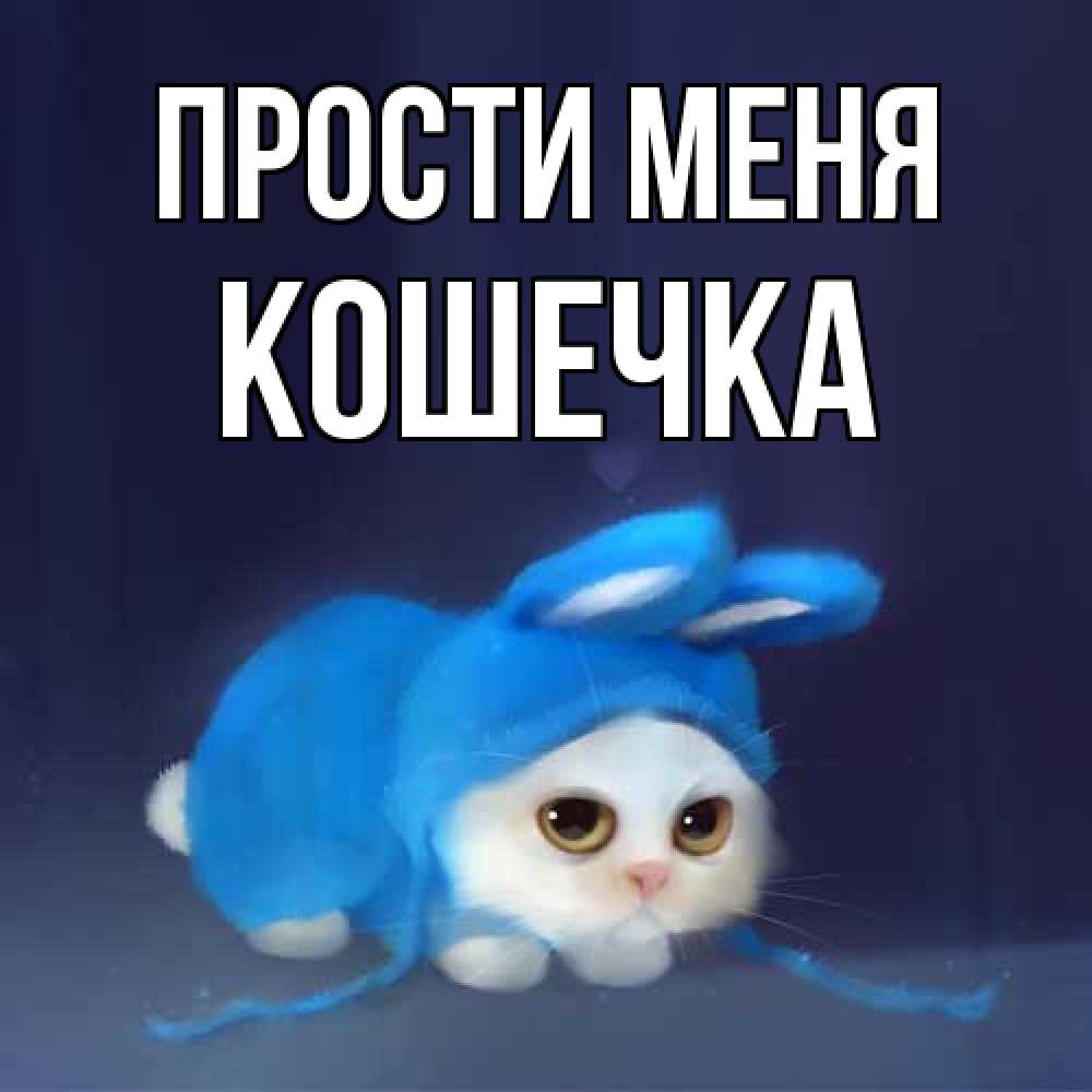 Открытка на каждый день с именем, кошечка Прости меня невинный котозай просит прощения Прикольная открытка с пожеланием онлайн скачать бесплатно 
