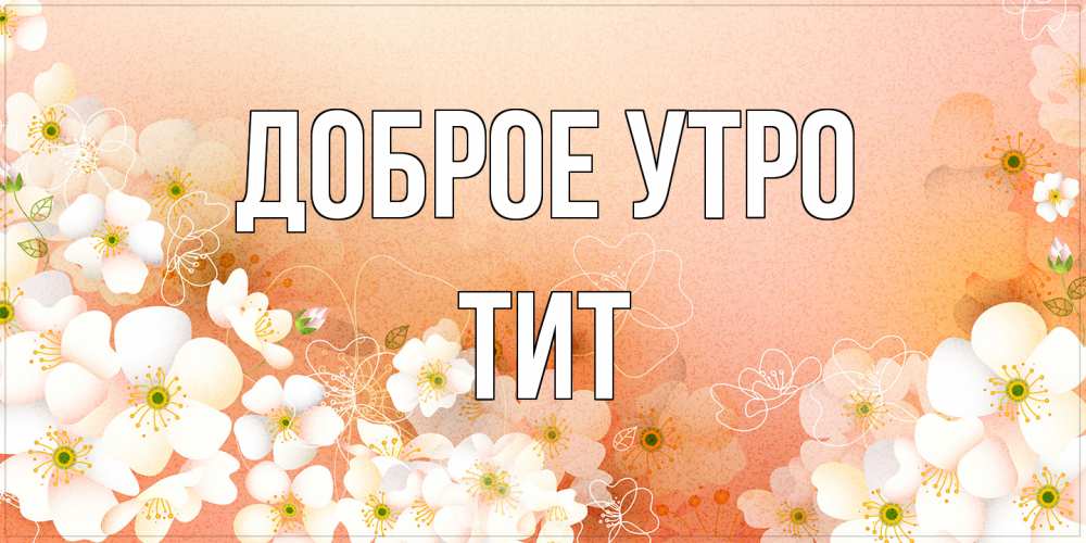 Открытка на каждый день с именем, Тит Доброе утро доброе утро с цветами Прикольная открытка с пожеланием онлайн скачать бесплатно 