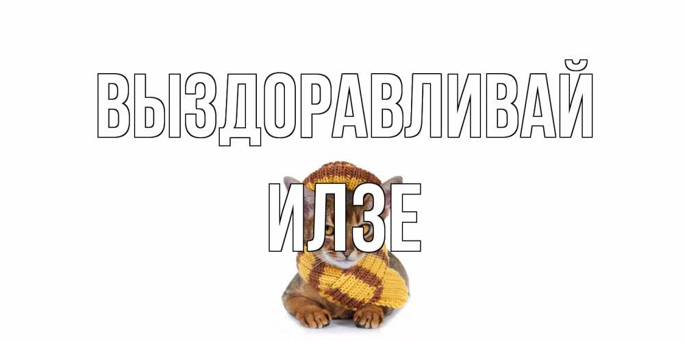 Открытка на каждый день с именем, Илзе Выздоравливай родные не болейте Прикольная открытка с пожеланием онлайн скачать бесплатно 