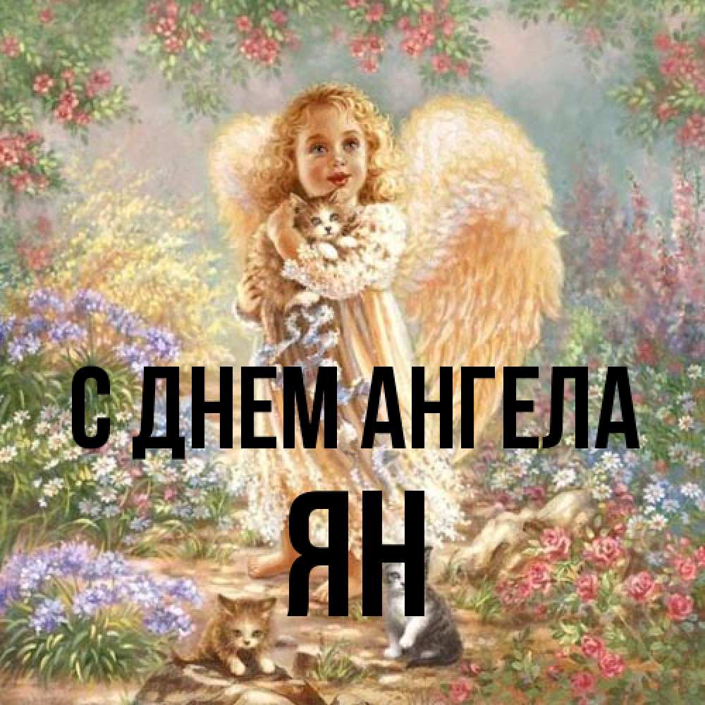 Открытка на каждый день с именем, Ян С днем ангела держит котенка Прикольная открытка с пожеланием онлайн скачать бесплатно 