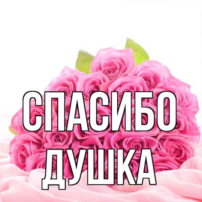 Картинка Спасибо, Душка
