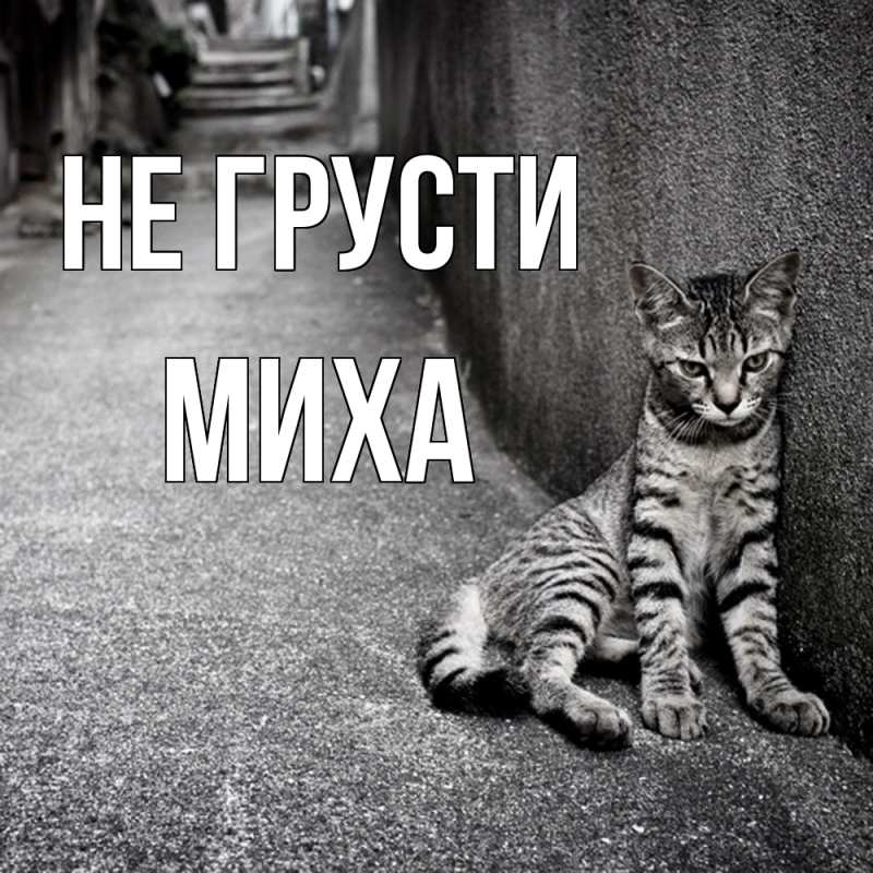 Картинка Не грусти, Миха