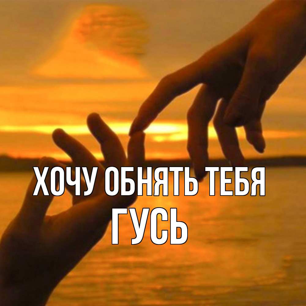 Открытка на каждый день с именем, Гусь Хочу обнять тебя прикосновение нежное к любимому Прикольная открытка с пожеланием онлайн скачать бесплатно 
