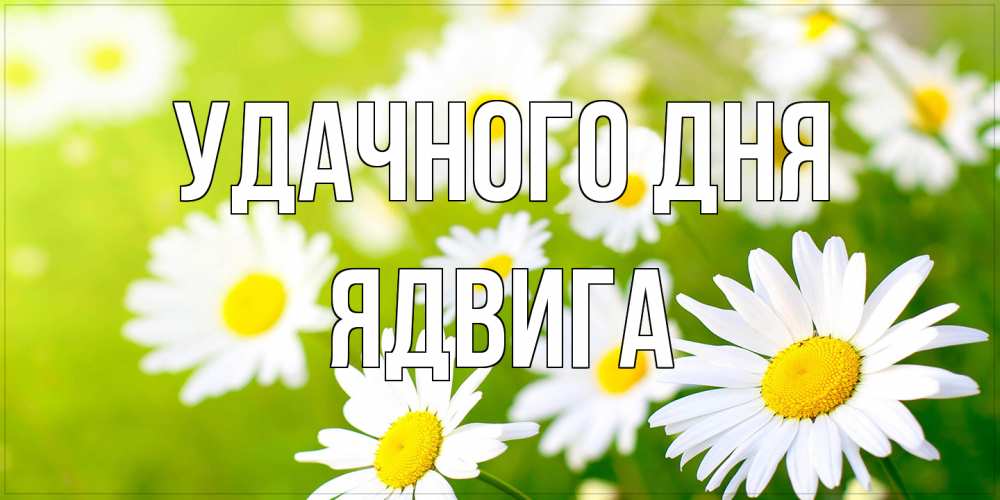 Открытка на каждый день с именем, Ядвига Удачного дня открытка с ромашками на зеленом фоне Прикольная открытка с пожеланием онлайн скачать бесплатно 