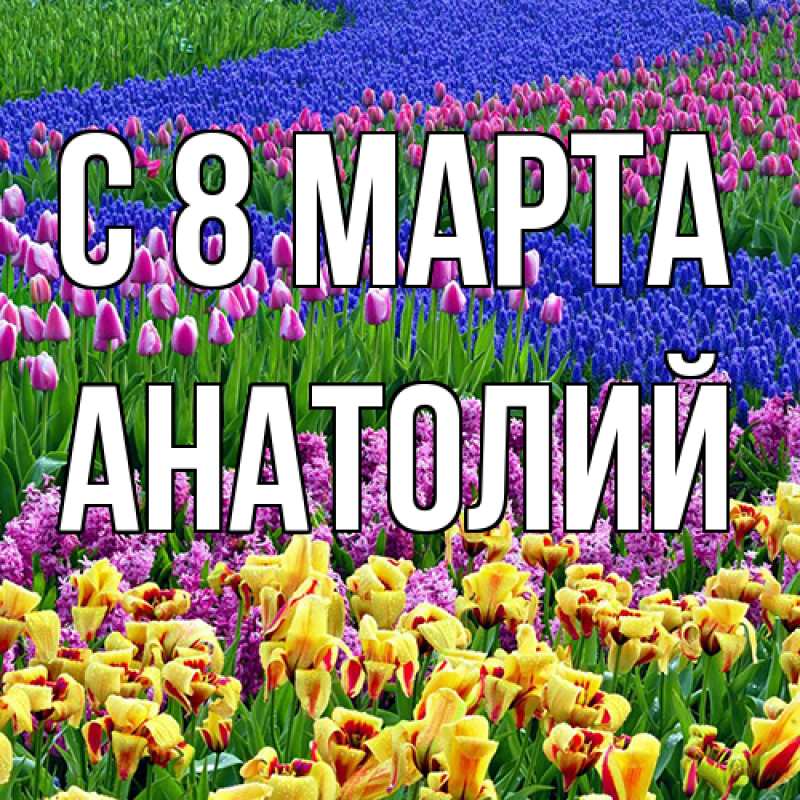 Картинка C 8 МАРТА, Анатолий
