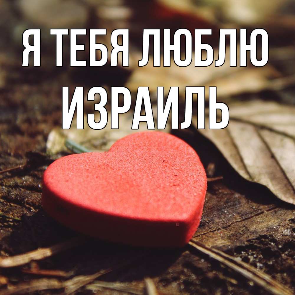 Открытка на каждый день с именем, Израиль Я тебя люблю листья деревье 4 Прикольная открытка с пожеланием онлайн скачать бесплатно 
