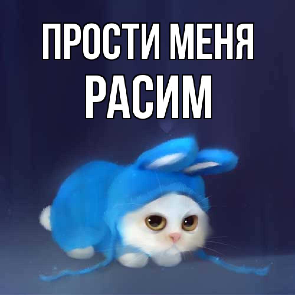 Открытка на каждый день с именем, Расим Прости меня невинный котозай просит прощения Прикольная открытка с пожеланием онлайн скачать бесплатно 