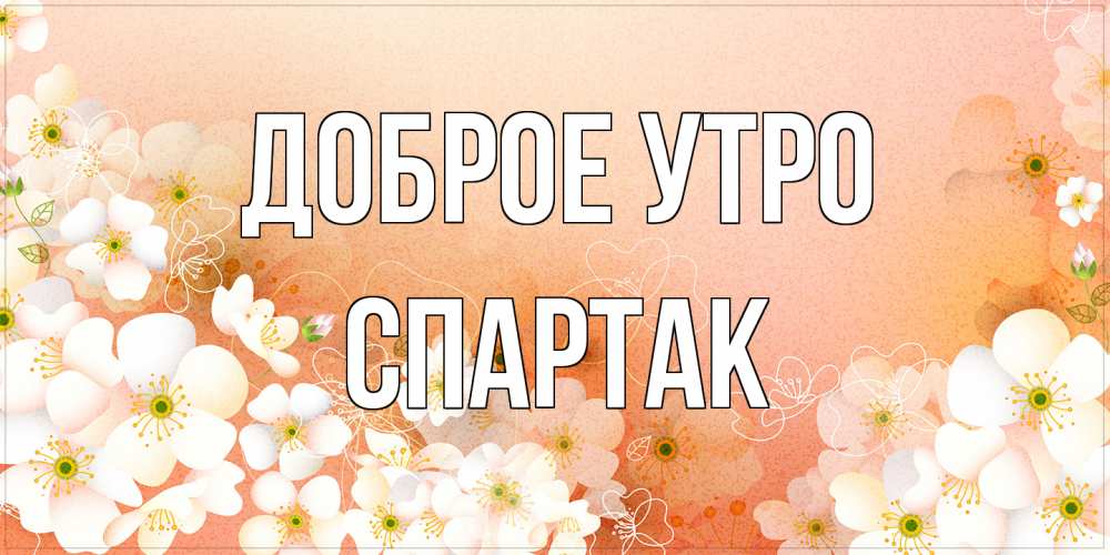 Открытка на каждый день с именем, Спартак Доброе утро доброе утро с цветами Прикольная открытка с пожеланием онлайн скачать бесплатно 