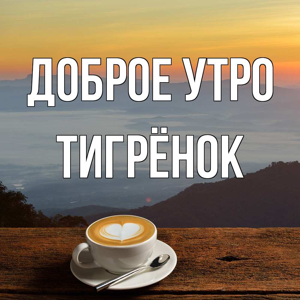 Открытка на каждый день с именем, Тигрёнок Доброе утро кофе на высоте Прикольная открытка с пожеланием онлайн скачать бесплатно 