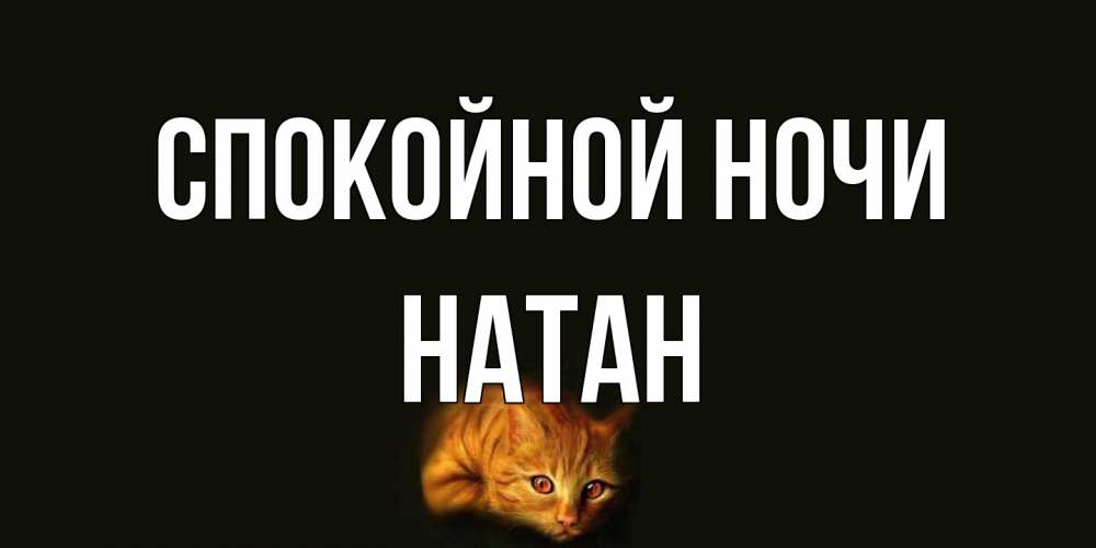 Открытка на каждый день с именем, Натан Спокойной ночи кот Прикольная открытка с пожеланием онлайн скачать бесплатно 