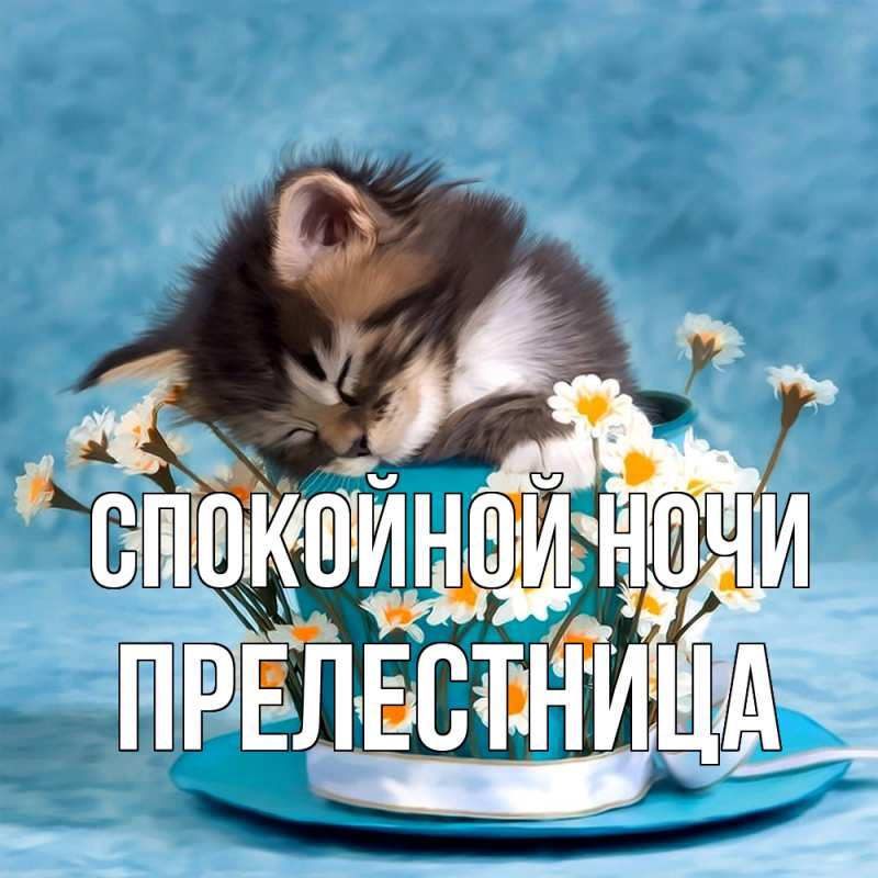 Картинка Спокойной ночи, пpелестница