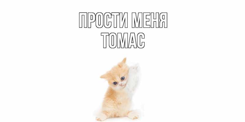 Картинка Прости меня, Томас