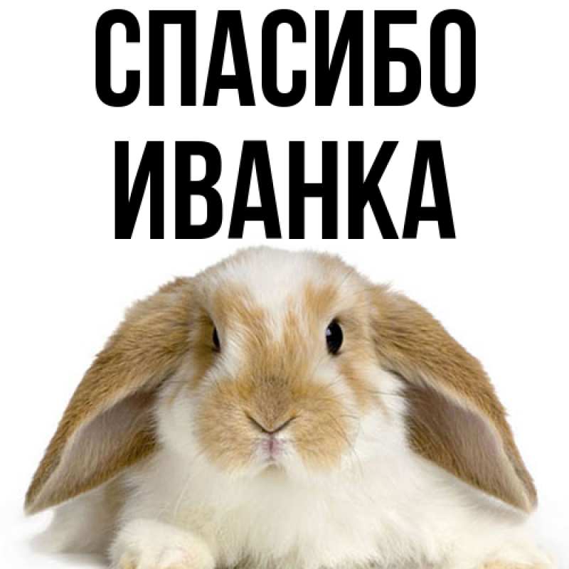 Картинка Спасибо, Иванка