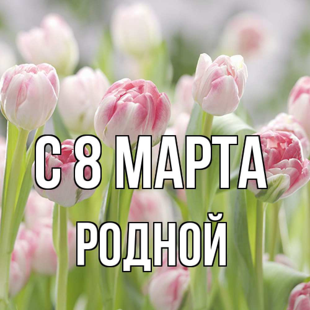Открытка на каждый день с именем, Родной C 8 МАРТА цветы Прикольная открытка с пожеланием онлайн скачать бесплатно 