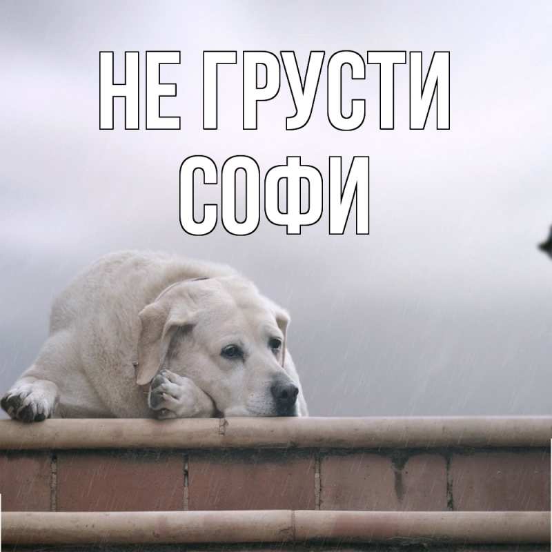 Картинка Не грусти, Софи