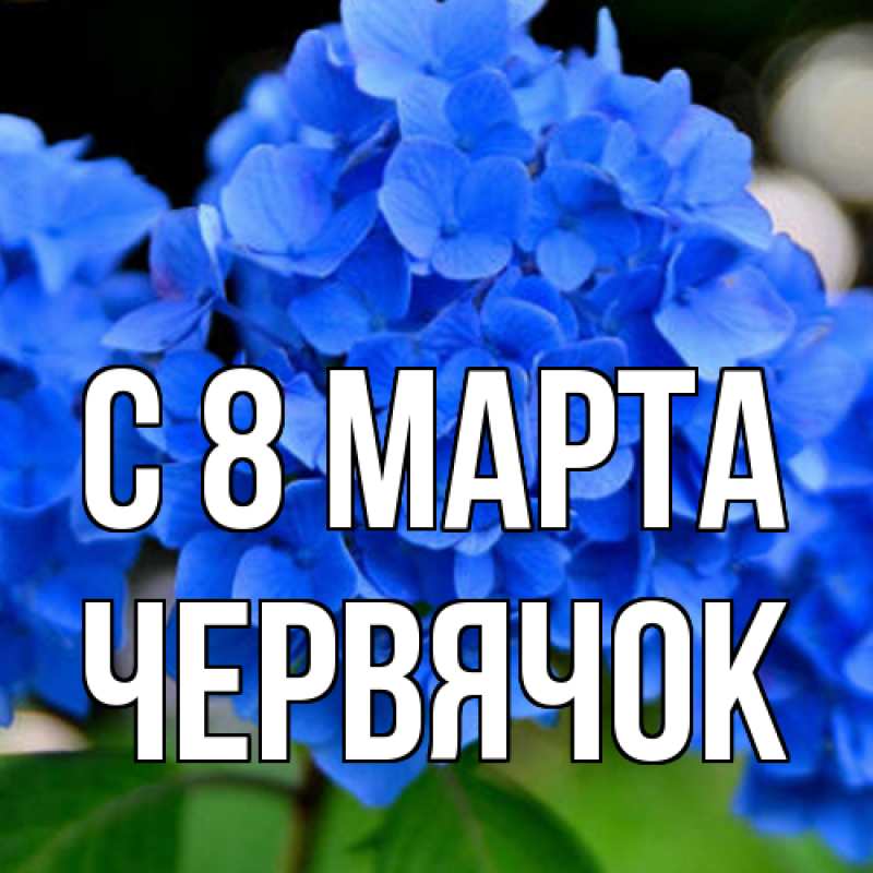 Картинка C 8 МАРТА, Червячок