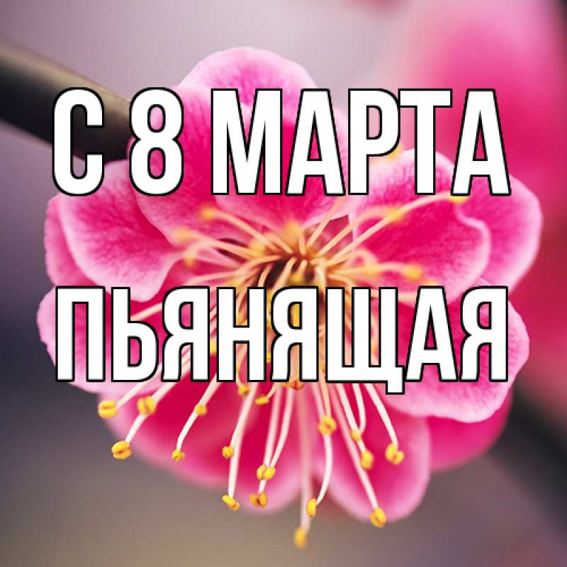 Картинка C 8 МАРТА, Пьянящая